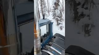 CAT Skiing skiing snow adventure mtb colorado mountains nature life lifestyle fun love [upl. by Dzoba]