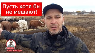 СЕЛЬСКИЕ ЖИТЕЛИ ПОЯСНИЛИ КУДА В СТРАНЕ ПРОПАЛО МАСЛО ОПРОС 2024 [upl. by Earized]