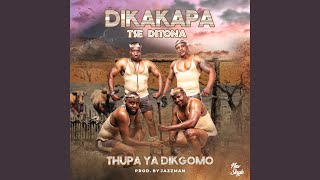 Thupa ya dikgomo [upl. by Hallee]