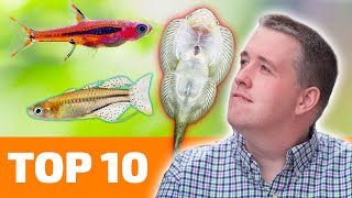 Top 10 Nano Fish for Freshwater Aquariums [upl. by Filbert]