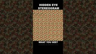 Eye exercise 20 hiddeneye stereogram magiceye eyestrain stereoscopic illusion magiceye [upl. by Seraphim402]