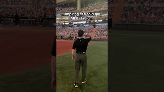 Umpiring in front of 38000 fans 🔥 mlb [upl. by Emmet]