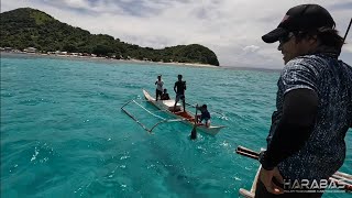 EP773P1  Palawan Experience  Day 1 [upl. by Athalla]