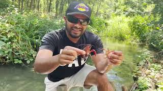 Dean randomly fishes for Red Swamp Crayfish in Paris [upl. by Myrtice]