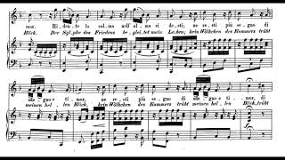 Ridente la calma WA Mozart Score Animation [upl. by Reba]