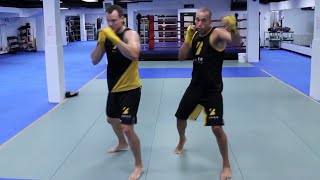 Beginner Friendly 20 Minute Boxing Workout at Home without any Equipment 2022 [upl. by Gowrie]