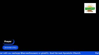 The Soul Harvest Apostolic Church [upl. by Nerradal]