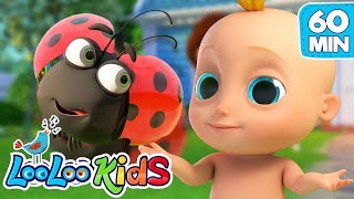 Skip to My Lou  S2EP84 Musical Adventure Collection  LooLoo Kids Songs for Kids [upl. by Mathews219]