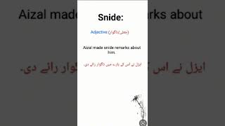 Snide sentence snide meaning in Urdu snide adjective [upl. by Shiau]