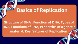 Basics of DNA Replication  Msc 2nd sem Bsc3rd sem Molecular Biology Replication csirnet [upl. by Enimisaj]