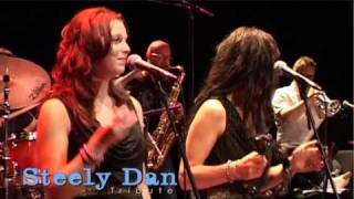 Reelin´In The Years  Steely Dan Tribute [upl. by Attenyw]