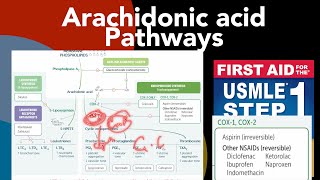 Arachidonic acid pathways Corticoids NASAIDs Celecoxib Montelukast ampZileuton mechanism of action [upl. by Imak]