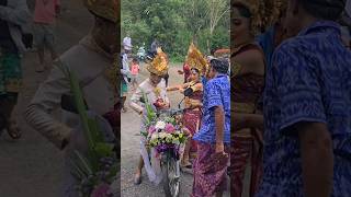 PawiwahanPernikahan Adat Bali❣️balinesetradition balineseculture wedding [upl. by Eanehs]