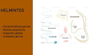 Helmintologia e suas características gerais [upl. by Sheila]