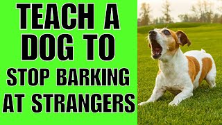 How To TEACH A Dog Not To Bark At Strangers [upl. by Refinaj]