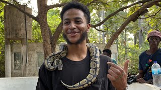 Day 3 in Gambia🇬🇲 Vlog I PUT A SNAKE ON MY NECK😱🤯 [upl. by Radke]