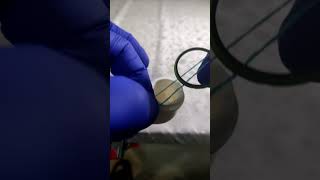 How to put a rubber gasket on a pipe [upl. by Ingles]