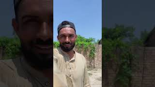 bakry ke sejji kyu jal gai😳😳 minivlog vlog villagelife funny vlogger [upl. by Haduhey844]