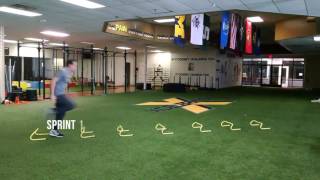 20 Mini Hurdle Drills for Speed Quickness and Agility [upl. by Laiceps629]