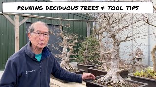 Pruning Deciduous Trees amp Tool Tips [upl. by Nus]