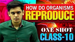 How Do Organisms Reproduce Complete Chapter🔥Class 10th Science NCERT covered Prashant Kirad [upl. by Keller578]