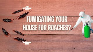 Fumigating Your House for Roaches Heres What You Must Know [upl. by Acinemod]