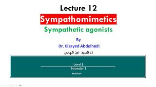 Lecture 12 Sympathetic Agonists  Dr Elsayed Abdelhad i 2023  2024 [upl. by Namrehs]