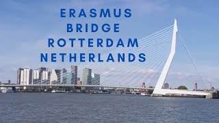 Erasmus bridge 🌉 Rotterdam Netherlands erasmusbrug erasmus rotterdam netherlands [upl. by Allina]