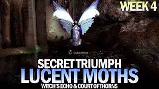 All Lucent Moth Locations Guide  Week 4 Witchs Echo amp Court of Thorns Destiny 2 [upl. by Airdnaz]