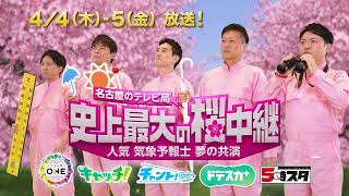 名古屋のテレビ局 史上最大の桜中継～5局の人気気象予報士が夢の共演！ [upl. by Irmine]