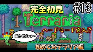 【Terraria】人生初のテラリアに挑戦！ Part12 [upl. by Shawn44]