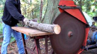 9N with Dearborn Cordwood saw [upl. by Groscr]