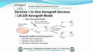 Altogen Labs LN229 Xenograft Service Brain Cancer [upl. by Aneeh185]