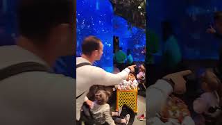 Disney springs rainforest Cafe disneysprings [upl. by Kotz805]