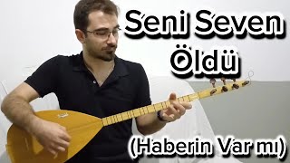 Seni Seven Öldü Haberin Var mı Kısa Sap Bağlama [upl. by Soma]