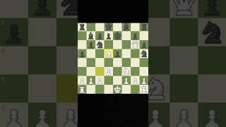 Checkmate in 2 moves chess shorts [upl. by Nadaha]