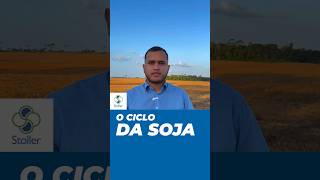 Tudo o que você precisa saber sobre o ciclo da SOJA sojabrasil agrosustentavel stoller [upl. by Uela683]