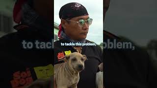 40000 Dogs 2 Years 1 Mission To End Rabies [upl. by Everrs]