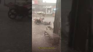 Gujranwala Pakistan Hail storm  Zala Bari Tofani Allah Toba [upl. by Lener]