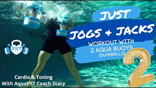 Jogs amp Jacks  The most Fun Pool Workout youll ever do Only 30 MIN [upl. by Tyre77]