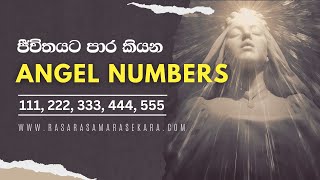 111 222 333 444 555 දේවදූත සංඛ්‍යාවල තේරුම  angel numbers sinhala  rasara samarasekara [upl. by Atiek]