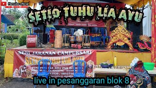 live jaranan setio tuhu lia ayu di pesanggaran blok 8 [upl. by Larine649]