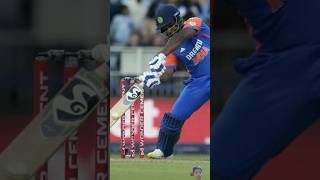 Sanju Samson Hit A Girl in Crowd By Ball  Who Is This Girl Crying in Stadium shorts [upl. by Slater]