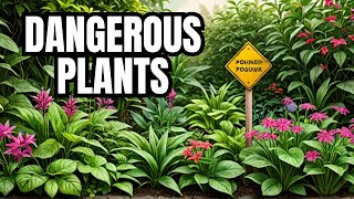 Plants You Should NEVER Touch [upl. by Eslud583]