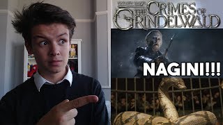 Fantastic Beasts 2 FINAL Trailer REACTION  Nagini REVEALED [upl. by Terhune910]