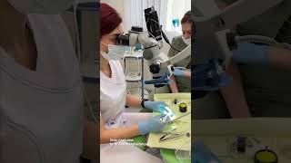 Individual microscopic endodontic course  Dental microscope handson practice  Zeiss lens [upl. by Ennoval539]