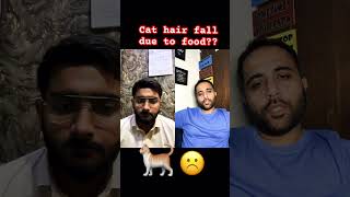 Cat hair fall due to food  Aliyan vets Islamabad [upl. by Ainslie641]