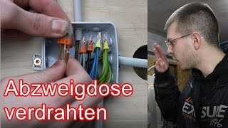 Abzweigdose verdrahten ElektroM [upl. by Nylirrehs]