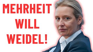 Die Mehrheit befürwortet Alice Weidel afd [upl. by Buckie]