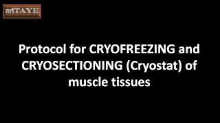 Cryofreezing and Cryosectioning cryostat of muscle tissues [upl. by Ralyat]